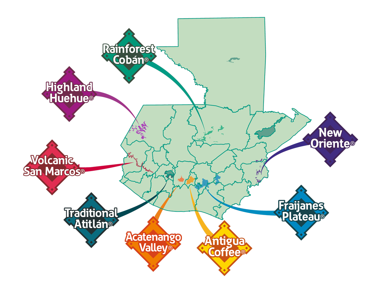 Analysis of Guatemalan Huehuetenango Coffee Varieties | Complete Guide to Pour Over Parameters and Flavor Profiles
