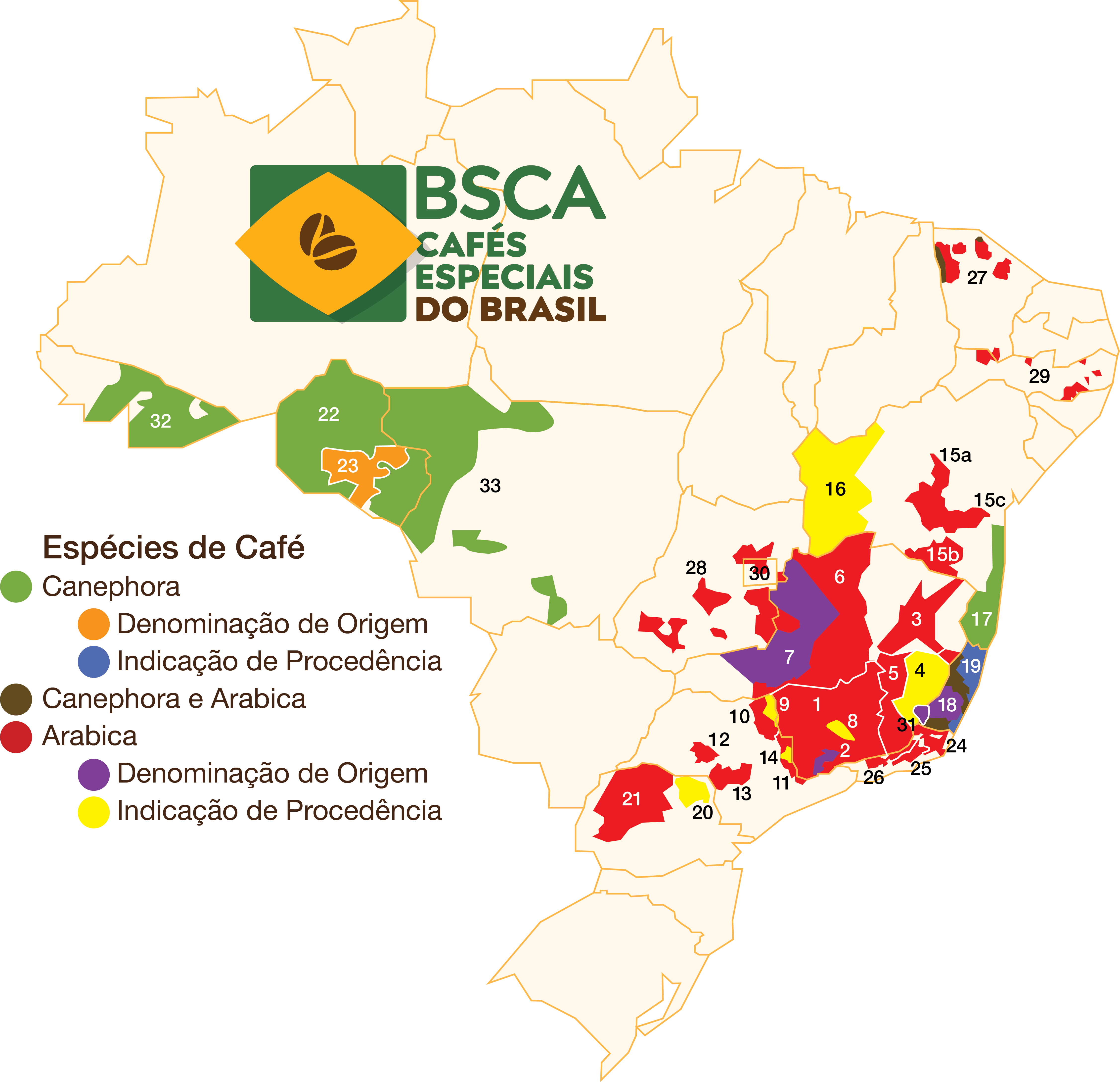 Flavor Profile of Brazilian Red & Yellow Bourbon Pour Over & Full Extraction Guide for Cerrado