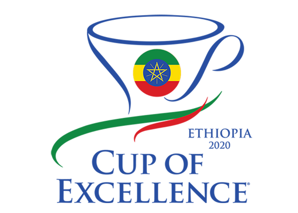 A Comprehensive Guide to COE Auction Coffee Beans: Competition Format, Ethiopian COE22 Flavors & Pour Over Techniques