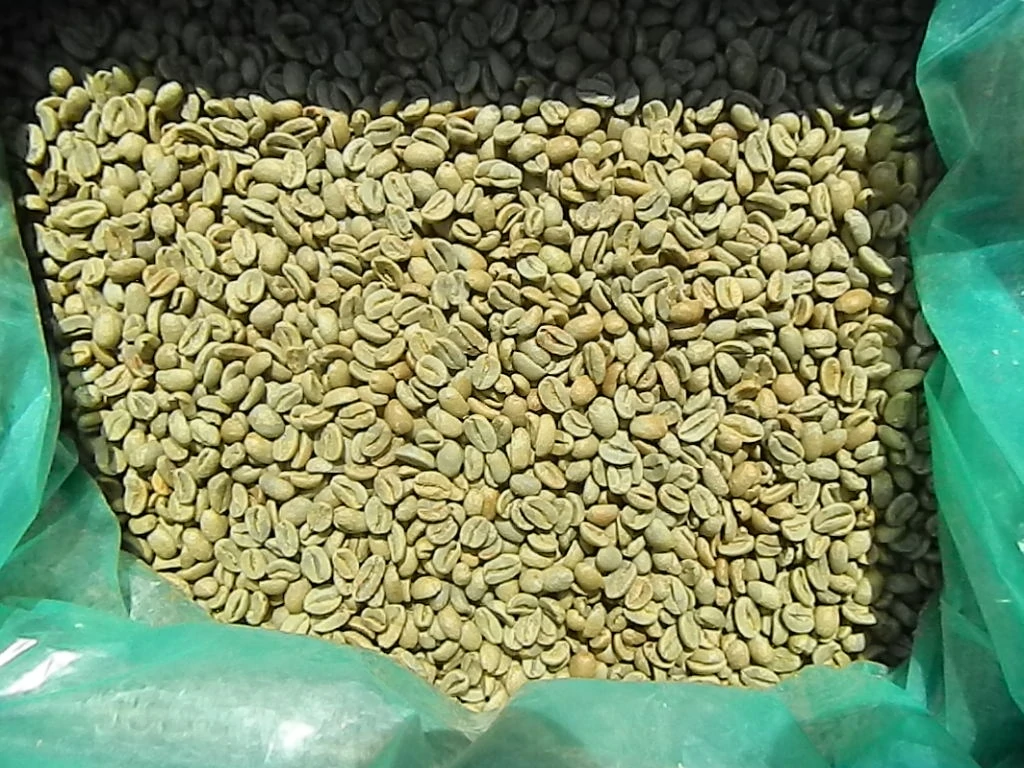 Complete Guide to Panamanian Geisha Coffee: Grades, Flavors, Pour Over Parameters, and Regional Differences