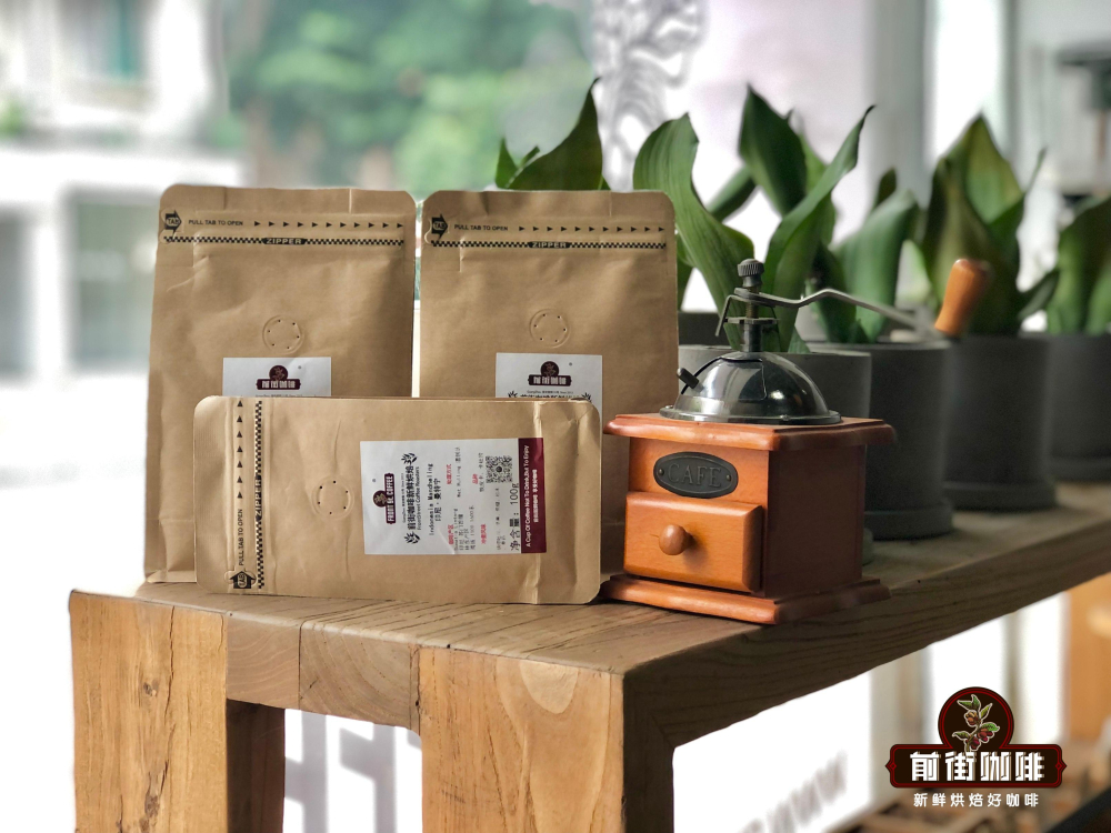 A Comprehensive Guide to Brazilian Coffee Varieties: From Bourbon Mutations to Regional Characteristics and Brewing Recommendations