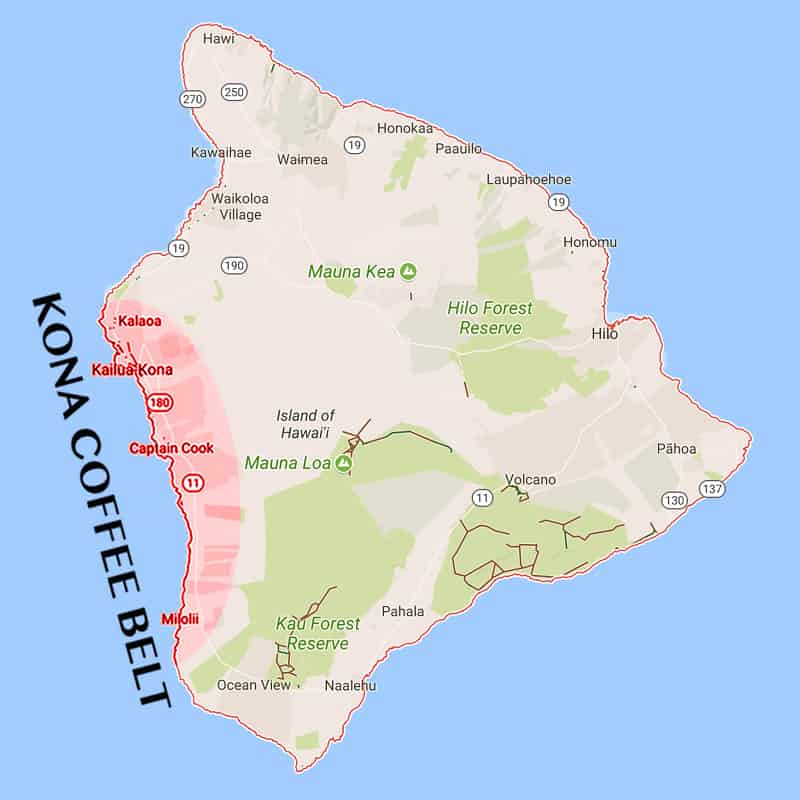 The Ultimate Guide to Hawaiian Kona Coffee: Terroir, Grading Standards, and Washed Processing Basics
