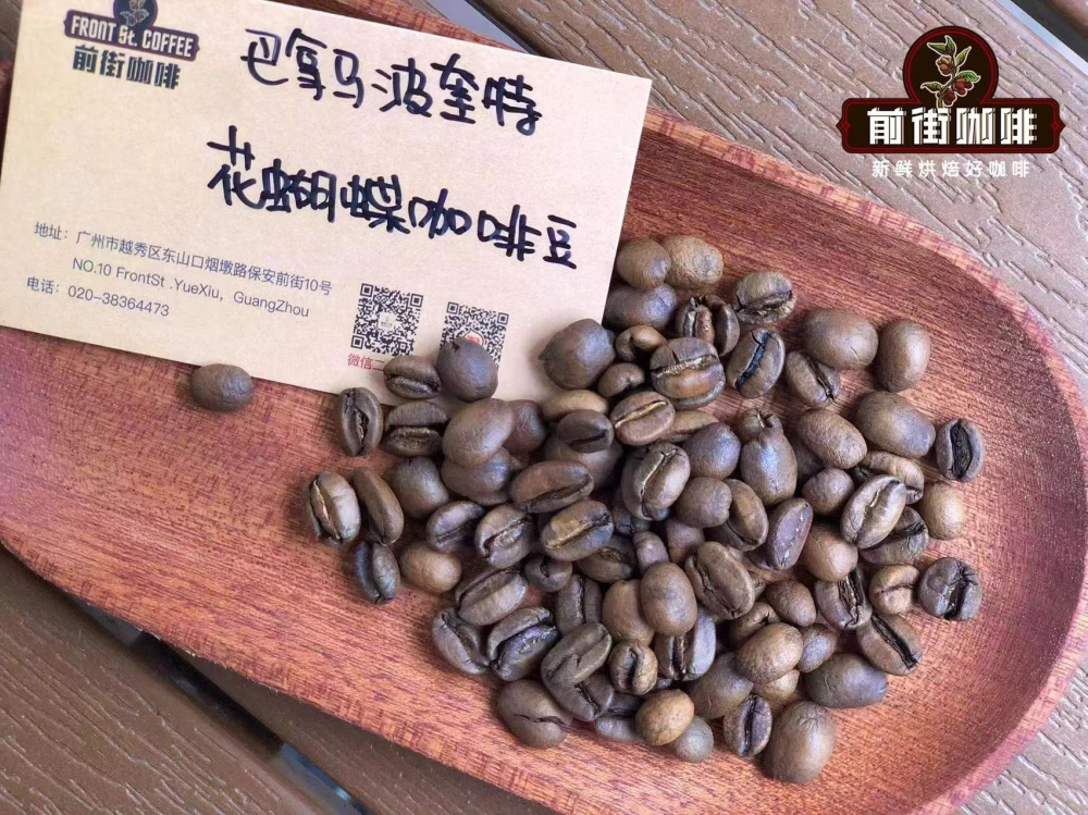In-depth Analysis of Panama Geisha Blossom Coffee Beans: Geisha Blend, Sun-Dried Flavor, and Brewing Recommendations
