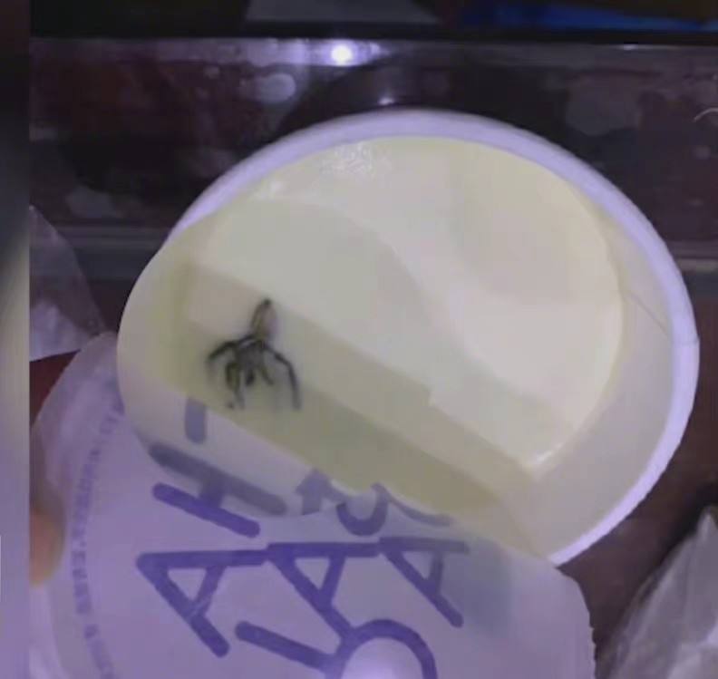 Analysis of the Tea Hundred Dao Cockroach Drink Incident: Food Safety Law Claims and Risk Management for Chain Coffee Shops