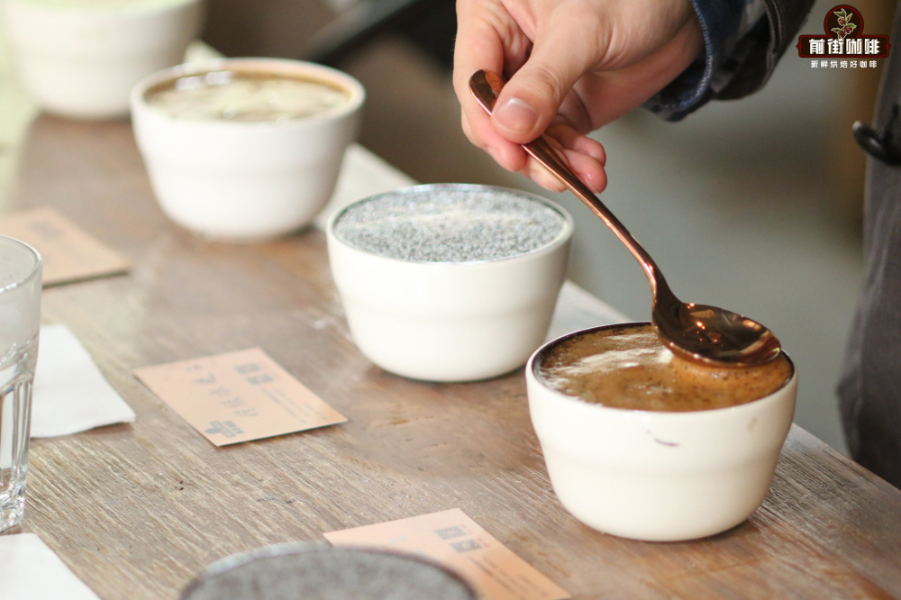 Analysis of the COE Cup of Excellence Competition and a Complete Guide to the Flavors and Brewing of Ethiopia's COE22 Beans