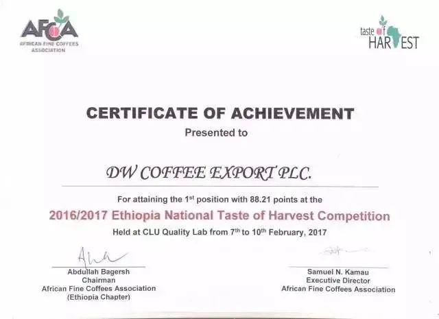 Ethiopia Guji Uraga Farm Dorothy Beans: Enzyme-washed with Peach and Tea Aroma, Pour Over Parameters and Flavor Analysis