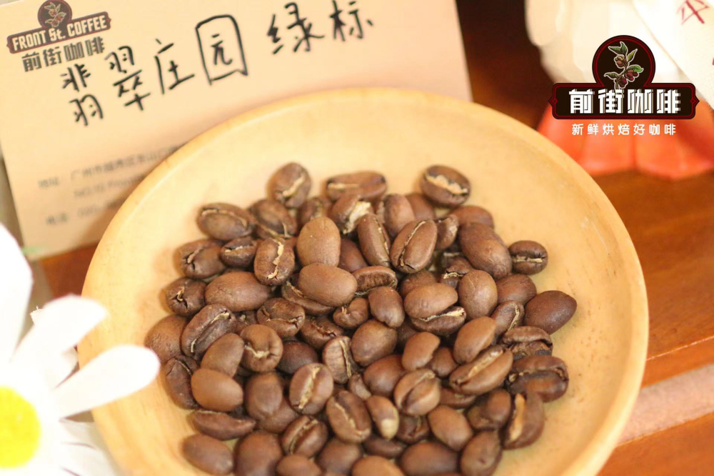 A Complete Guide to Pour Over with Panamanian Emerald Geisha: Differences Between Red, Green, and Blue Labels, Roasting Profiles, and Brewing Techniques