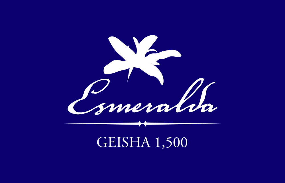 A Complete Guide to Pour Over with Panamanian Emerald Geisha: Differences Between Red, Green, and Blue Labels, Roasting Profiles, and Brewing Techniques