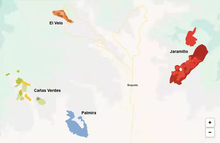 A Complete Guide to Panama Geisha (Hacienda La Esmeralda) Grading: Flavor Differences Between Red, Green, and Blue Labels & Pour Over Recommendations