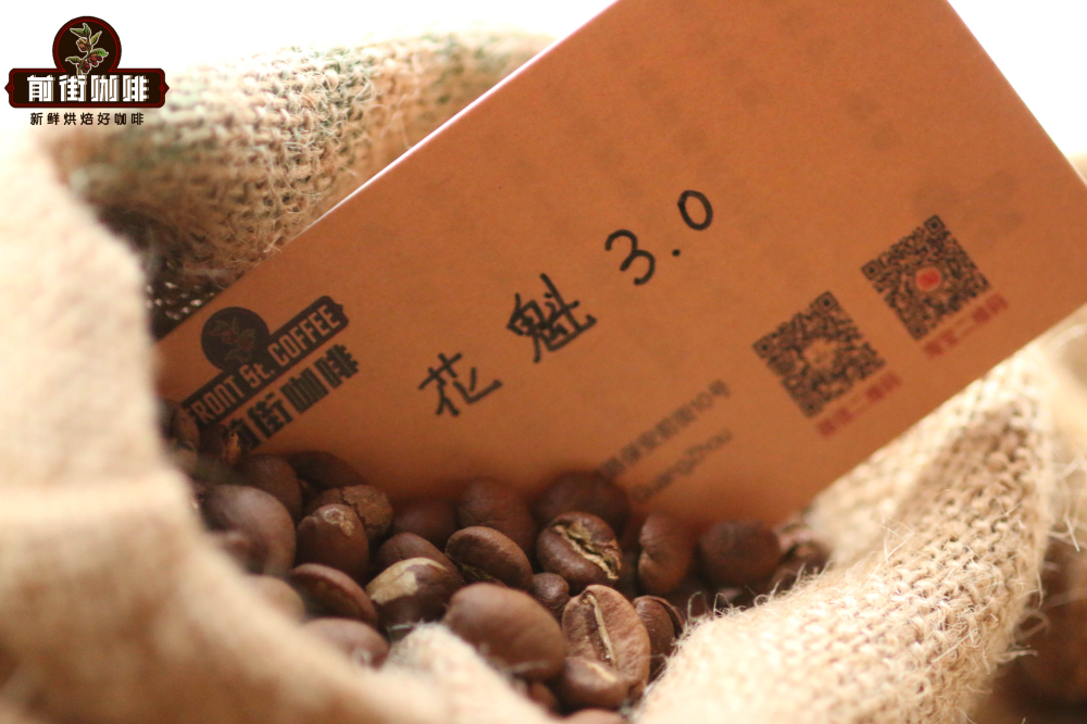 Analysis of the Origin Shift of Yirgacheffe Huakui Coffee Beans | A Comprehensive Guide to the Rise of the Guji Region and Flavor Evolution
