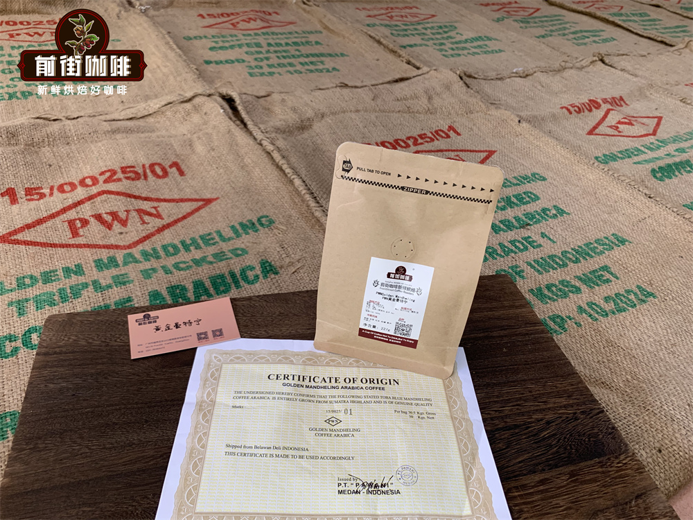 The Origins of Mandheling Coffee and Tasting of Golden Mandheling | Pour Over Parameters and Flavor Analysis