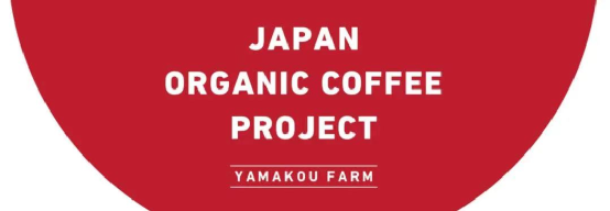 Korea’s Icheon successfully grows Arabica Bourbon coffee beans, a new breakthrough in northern latitude cultivation