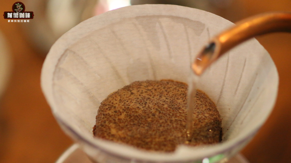 Complete Guide to Brewing Panamanian Geisha with a French Press: Coffee-to-Water Ratio, Grind Size, and Flavor Analysis