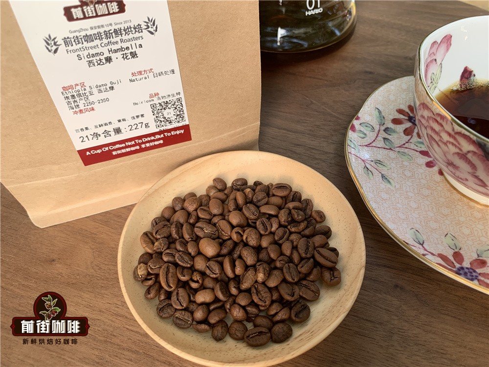 A Complete Guide to Ethiopian Hua Kui Coffee Beans: From the Growing Region to Pour Over Parameters and Flavor Profile