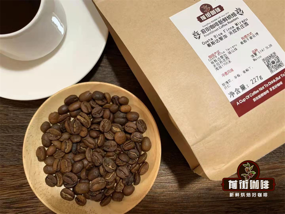 A Comprehensive Guide to Tasting Geisha from Three Major Origins + Pour Over Parameters | Flavor Analysis and Brewing Techniques
