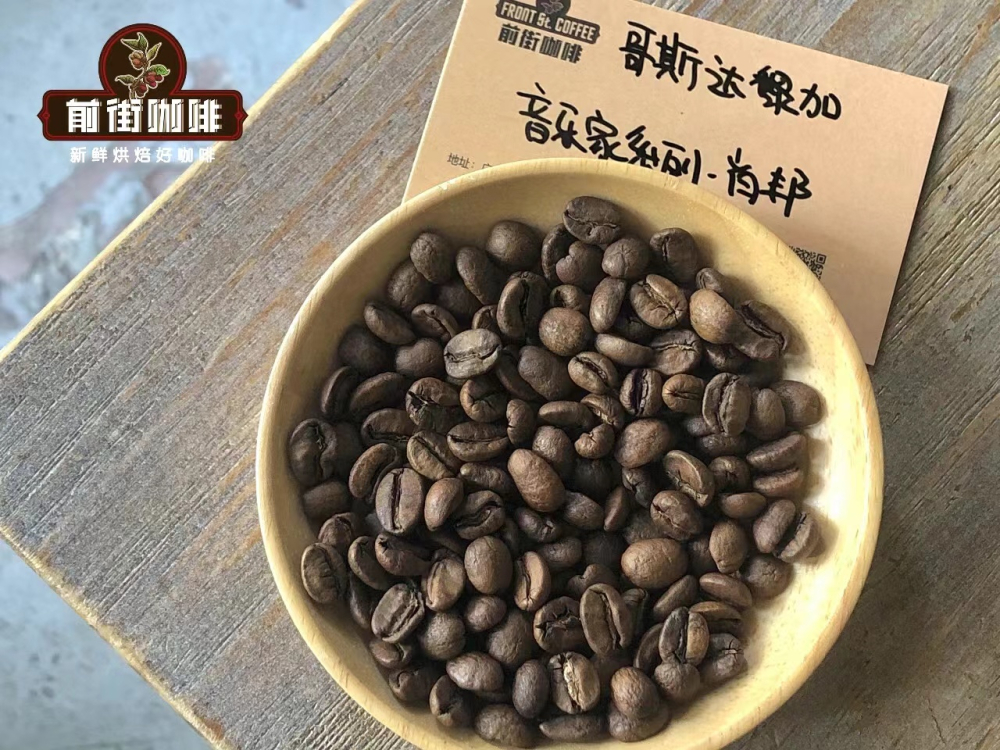 Costa Rica Musician Series Coffee: Analysis of 4 Major Flavor Profiles & Pour Over Brewing Guide