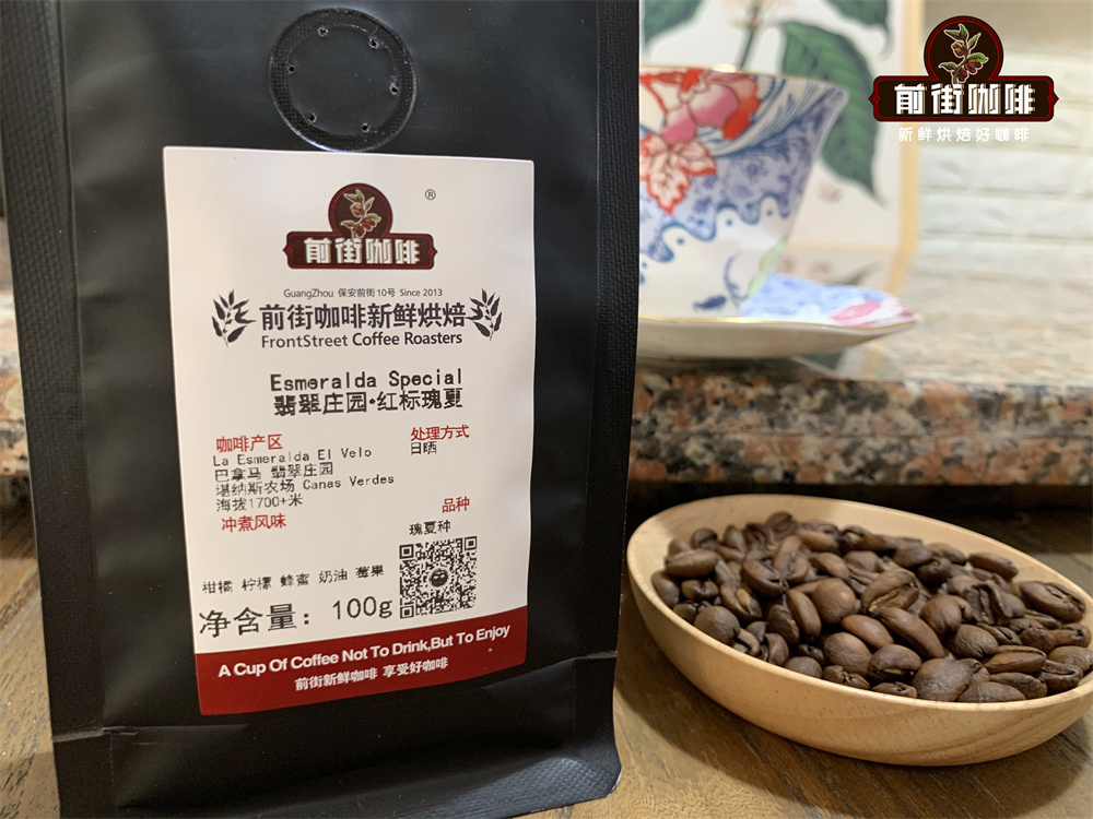 How to Choose Panama Geisha (Green Tip) Coffee? Red Label Pricing Guide & Pour Over Flavor Introduction