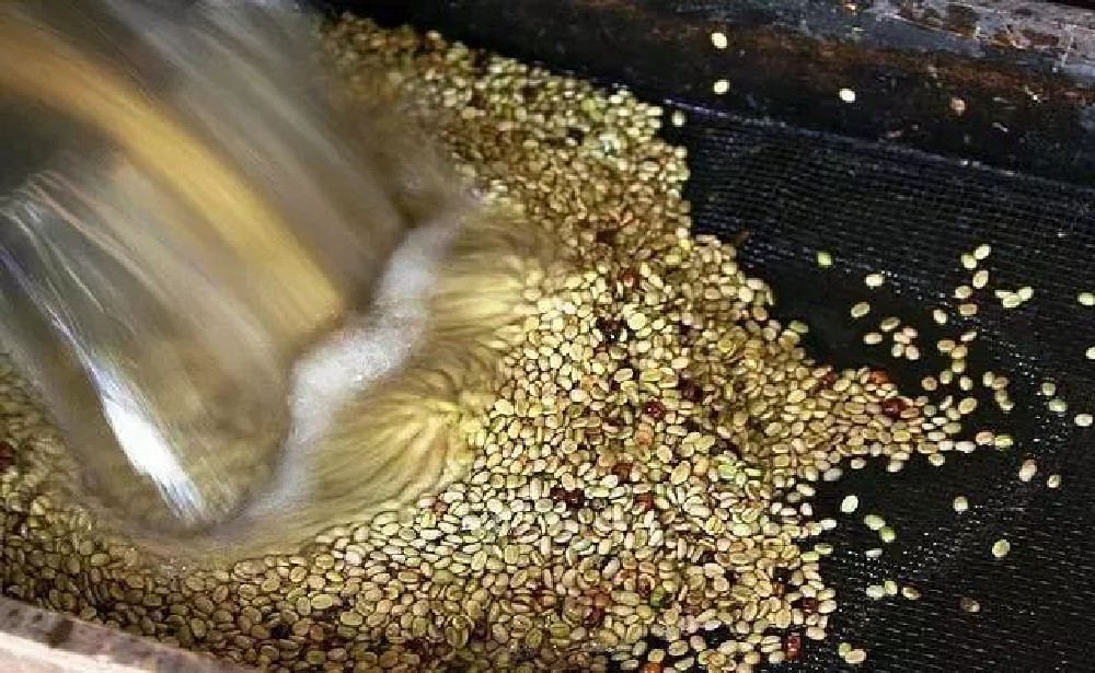 Analysis of Indonesia's Sumatra Mandheling Origin and Guide to Identifying Golden Mandheling