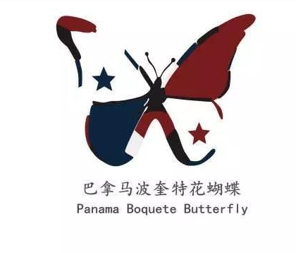 A Complete Guide to Panamanian Boquete Finca Hartmann Geisha 