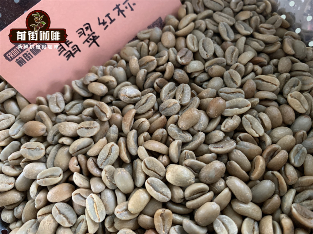 Panamanian Geisha Pour Over Brewing Tutorial and Flavor Analysis, with Professional Extraction Parameter Recommendations