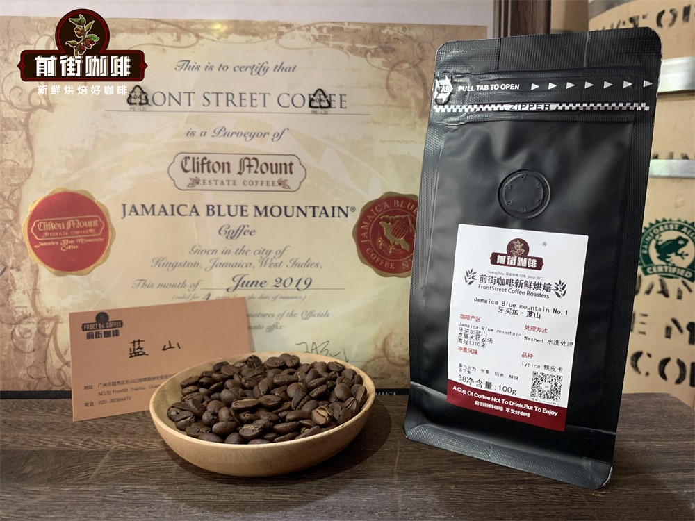 An Introduction to Jamaican Blue Mountain Coffee Beans: Complete Guide to Grade Classification, Washed Processing, and Pour Over Brewing Parameters