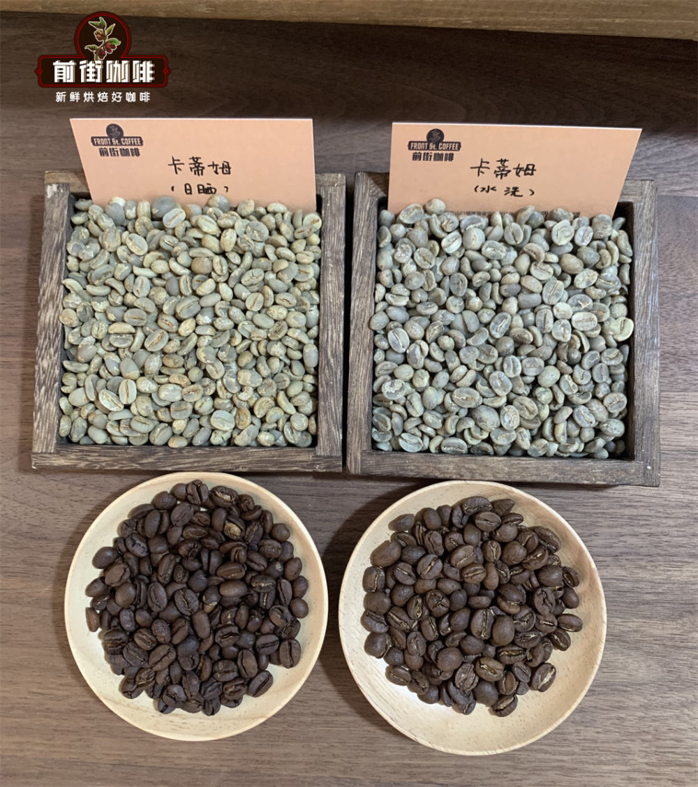 Yunnan Coffee Region Review: Flavor Profile of Typica and Pour Over Recommendations