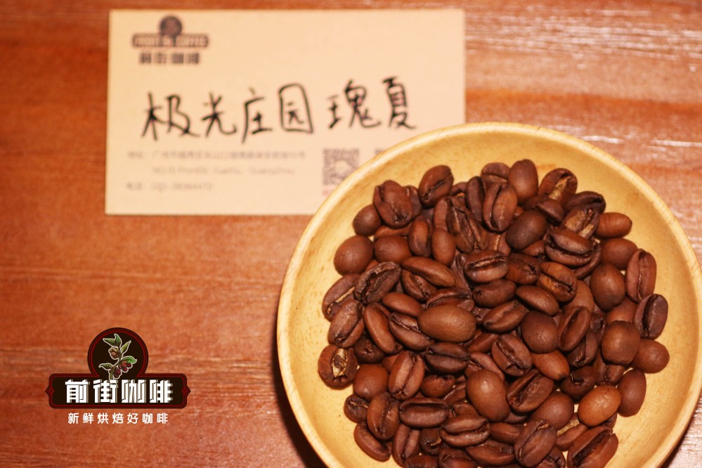 Panama Aurora Geisha Pour Over Guide: Sun-Dried Processing & 91°C Extraction Parameters