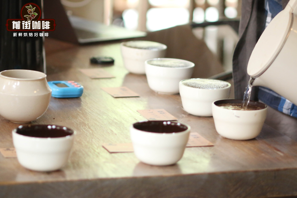 Complete Guide to Panamanian Boquete Geisha Beans: Differences Between Red and Green Labels, Processing Methods, and Pour Over Parameters