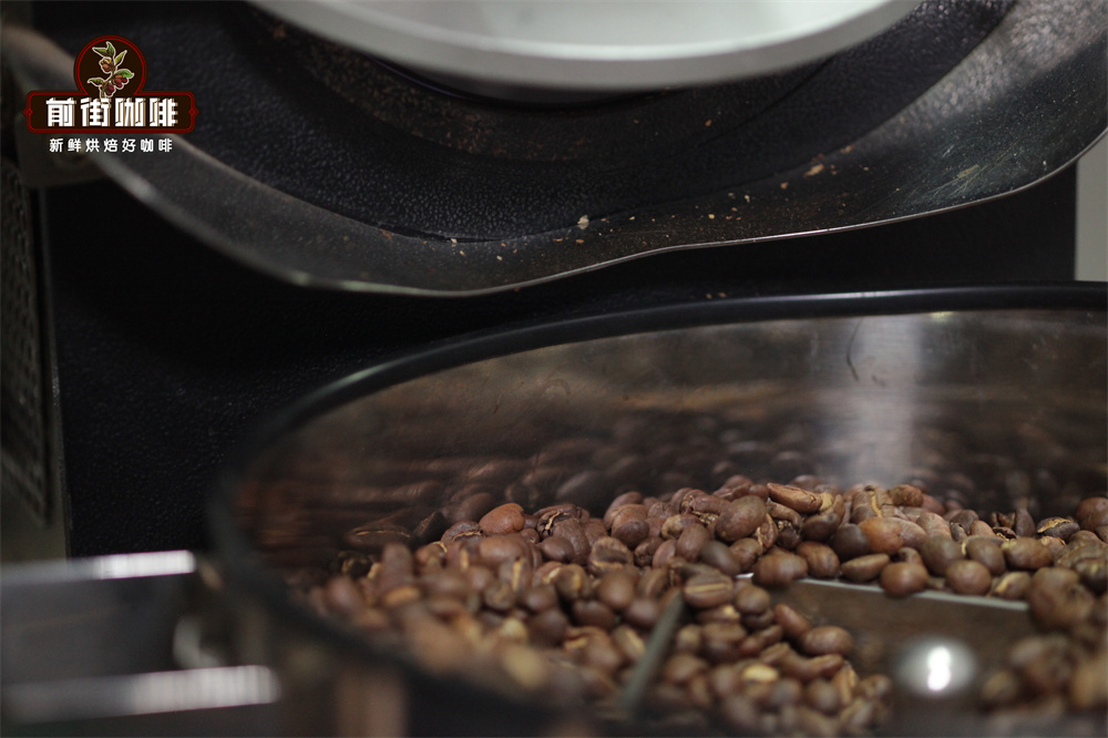 Complete Guide to Cold Brew Coffee: Flavor Analysis, Extraction Ratio & Light Roast Bean Recommendations