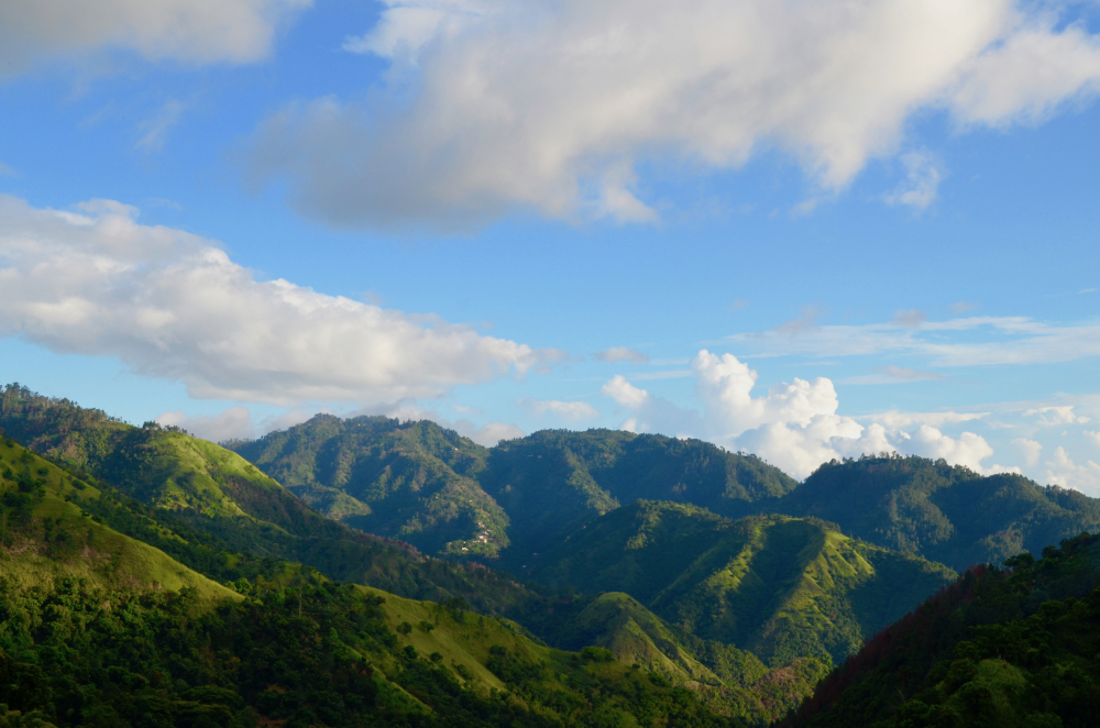 Unveiling the Jamaica Blue Mountain No.1 Coffee Bean Region & Complete Pour Over Parameter Guide