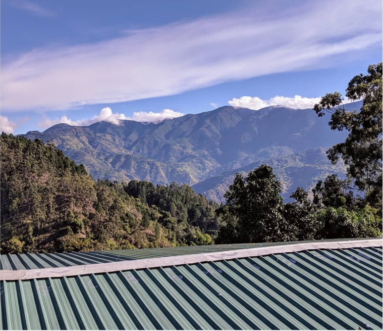 Complete Guide to Jamaican Blue Mountain No. 1 Coffee Beans: Origin Grades, Flavor Characteristics, and Pour Over Techniques