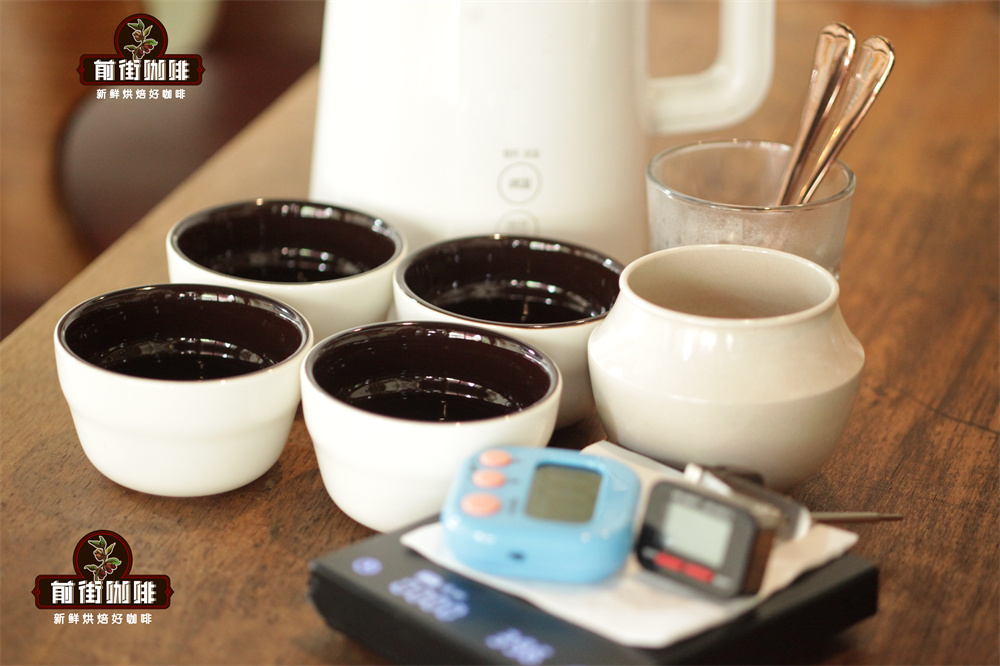 What's the difference between Arabica and Robusta? A complete guide to specialty Arabica coffee beans and how to choose them