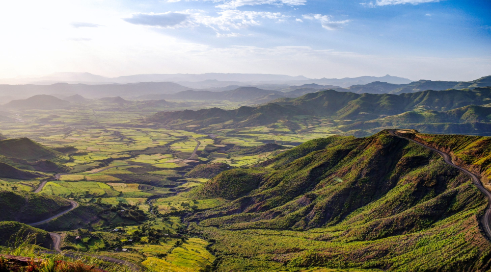 In-depth Analysis of Ethiopia's Sidamo Region: The Evolution of Hua Kui Series Flavors and Pour Over Techniques