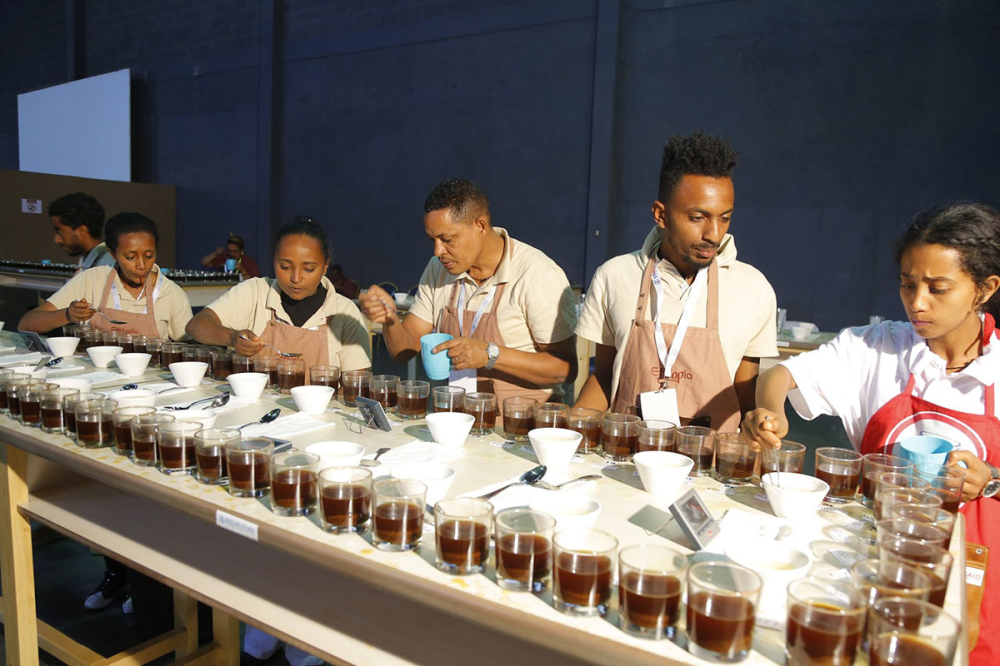 Guide to Pour Over Brewing for Hua Kui Coffee: Detailed Explanation of Optimal Water Temperature and Flavor Extraction Parameters