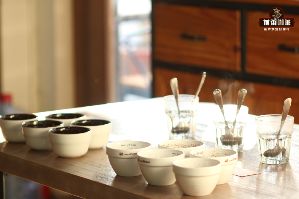 Complete Guide to Single-Origin Coffee Cupping Standards and Pour Over Grind Size Settings