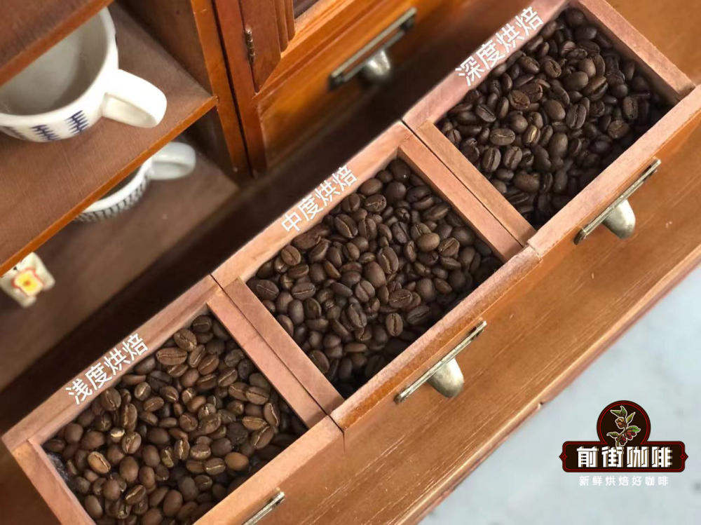 How to Choose Between Light, Medium, and Dark Roast Coffee Beans? Understand Flavor Differences and Fat-Burning Potential All at Once