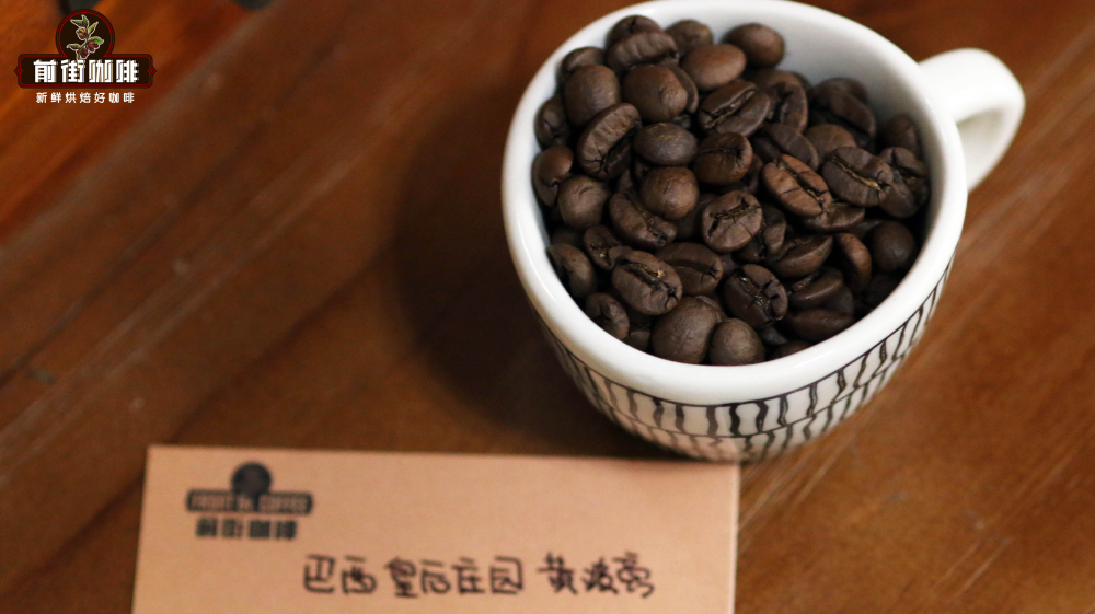 Flavor Analysis of the World's Top 10 Specialty Coffee Origins: A Brewing Guide from Brazil to Yunnan