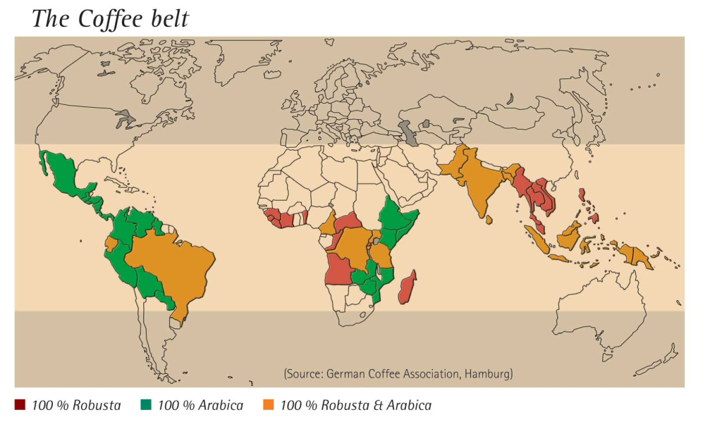 A Comprehensive Guide to the Three Major Coffee Varieties: Differences and Selection Tips for Arabica, Robusta, and Liberica