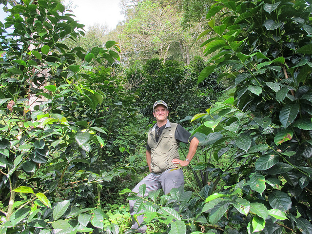 Unveiling the Flavors of Panama Sophia Geisha Washed Champion & The Complete Brewing Guide