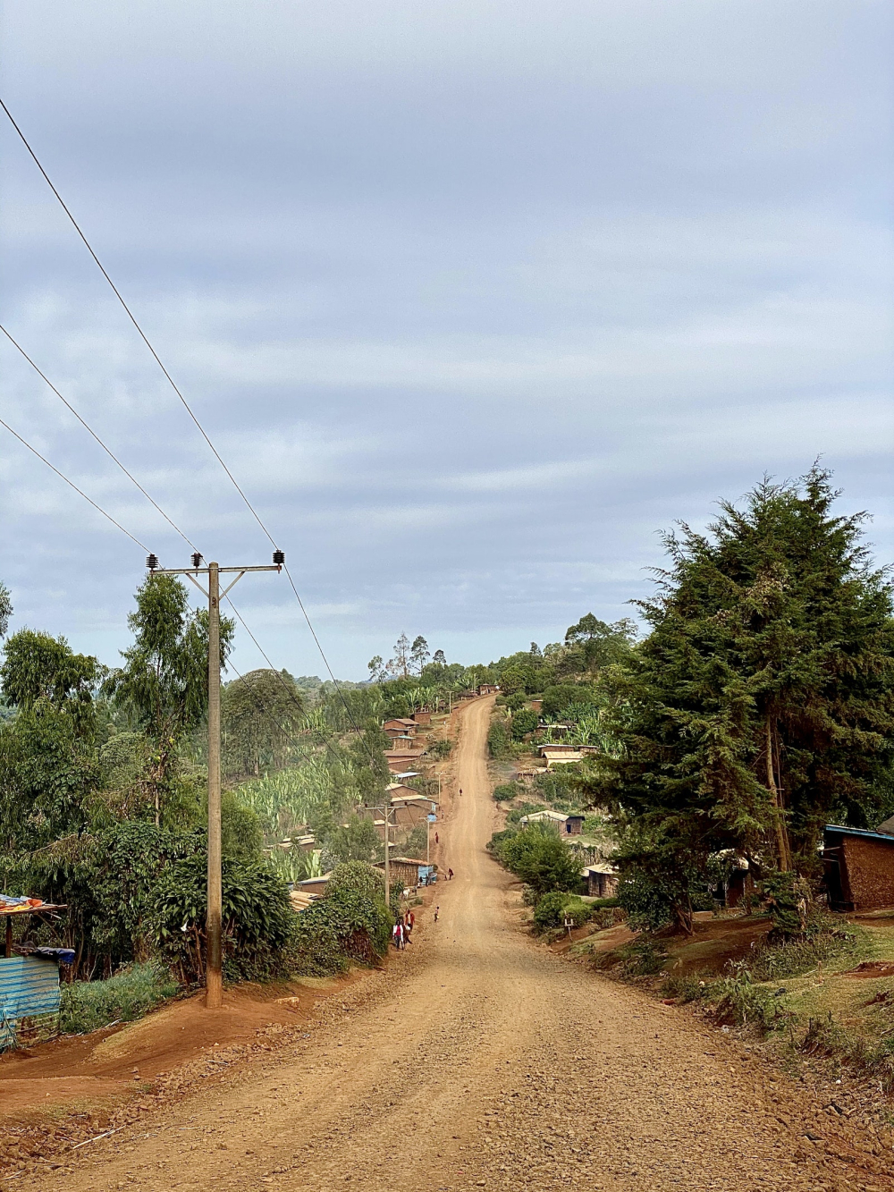Complete Guide to Ethiopian Hua Kui Coffee: From Its Naming Origin to Pour Over Brewing Tips for the Hambella Natural Beans