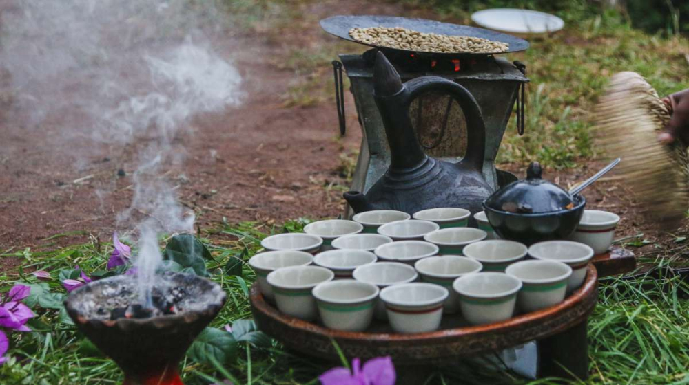 A Complete Guide to Ethiopian Coffee Bean Grading and the Nine Major Growing Regions: Flavor Analysis and G1 Grading Standards