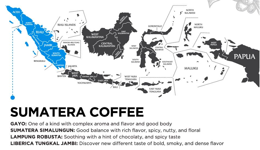 Sumatra Mandheling G1 Pour Over Beginner's Guide: Wet-Hulled Process, Flavor Profile, and Optimal Brewing Parameters