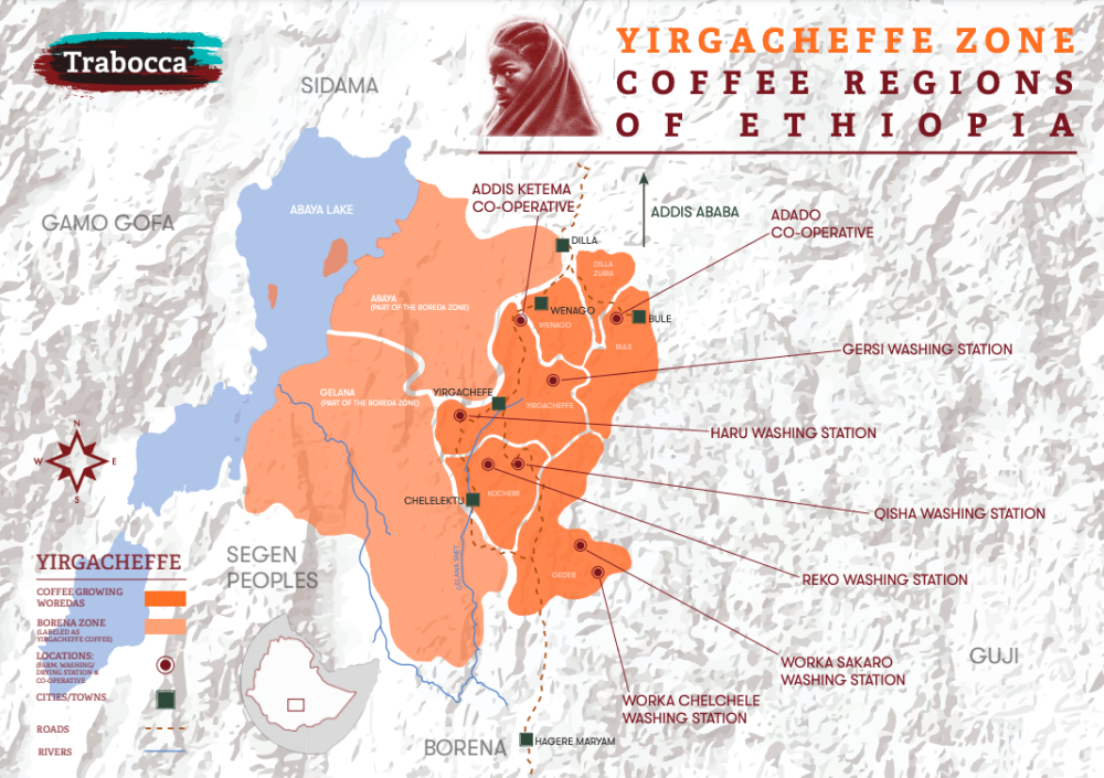 Flavor Analysis and Regional Evolution of Yirgacheffe: From Washed Processing to the Independent Path of Specialty Coffee