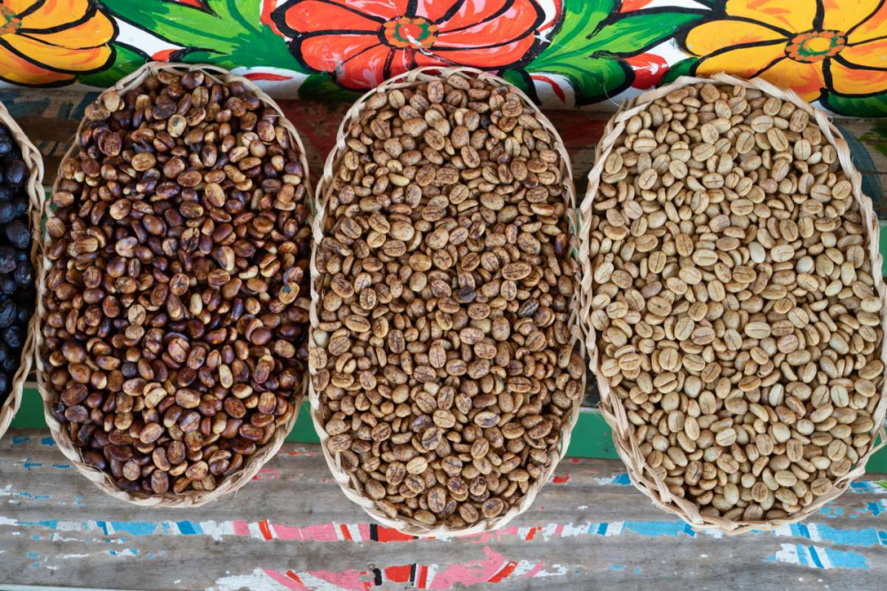 An Introduction to Costa Rica Honey Processing: From Yellow Honey to Black Honey, Flavor Analysis and Pour Over Suggestions