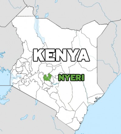 In-depth Analysis of Kenya Nyeri Dodomo Coffee: A Complete Guide to the Region, Processing Methods, and Pour Over Parameters