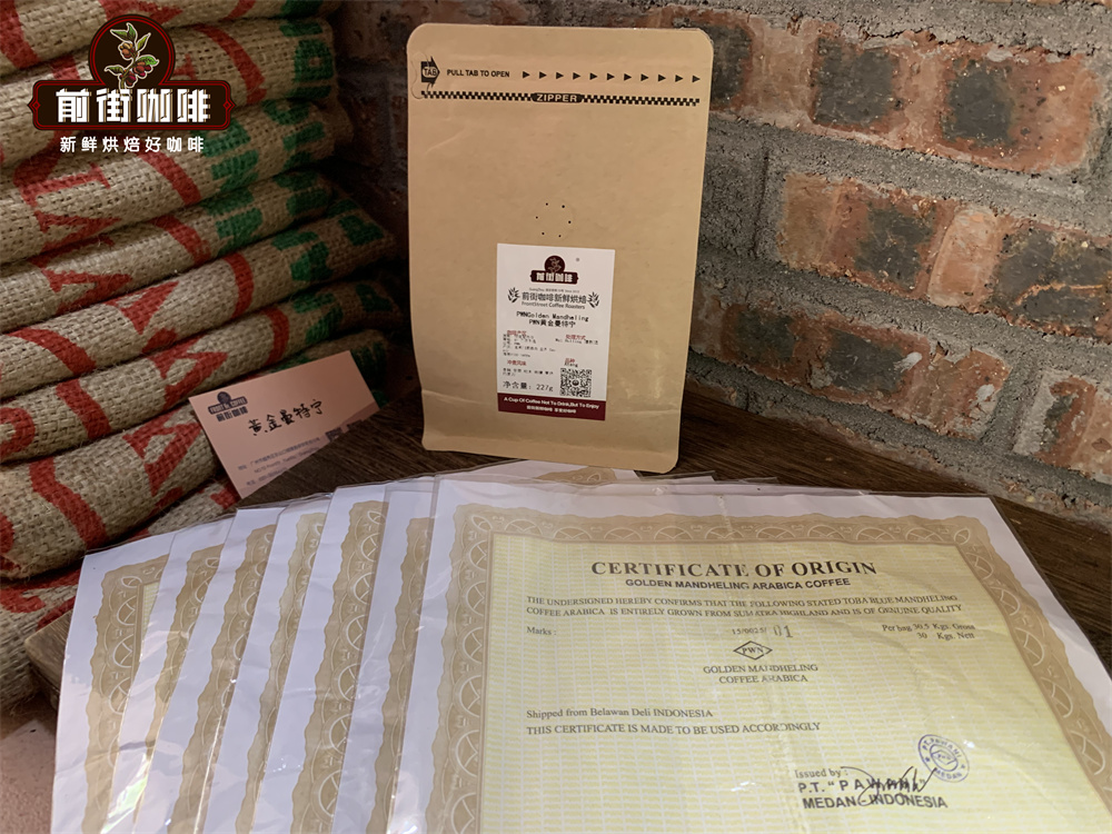 Flavor Profile of Golden Mandheling: A Complete Guide to Indonesia’s PWN Patent and Ateng Variety