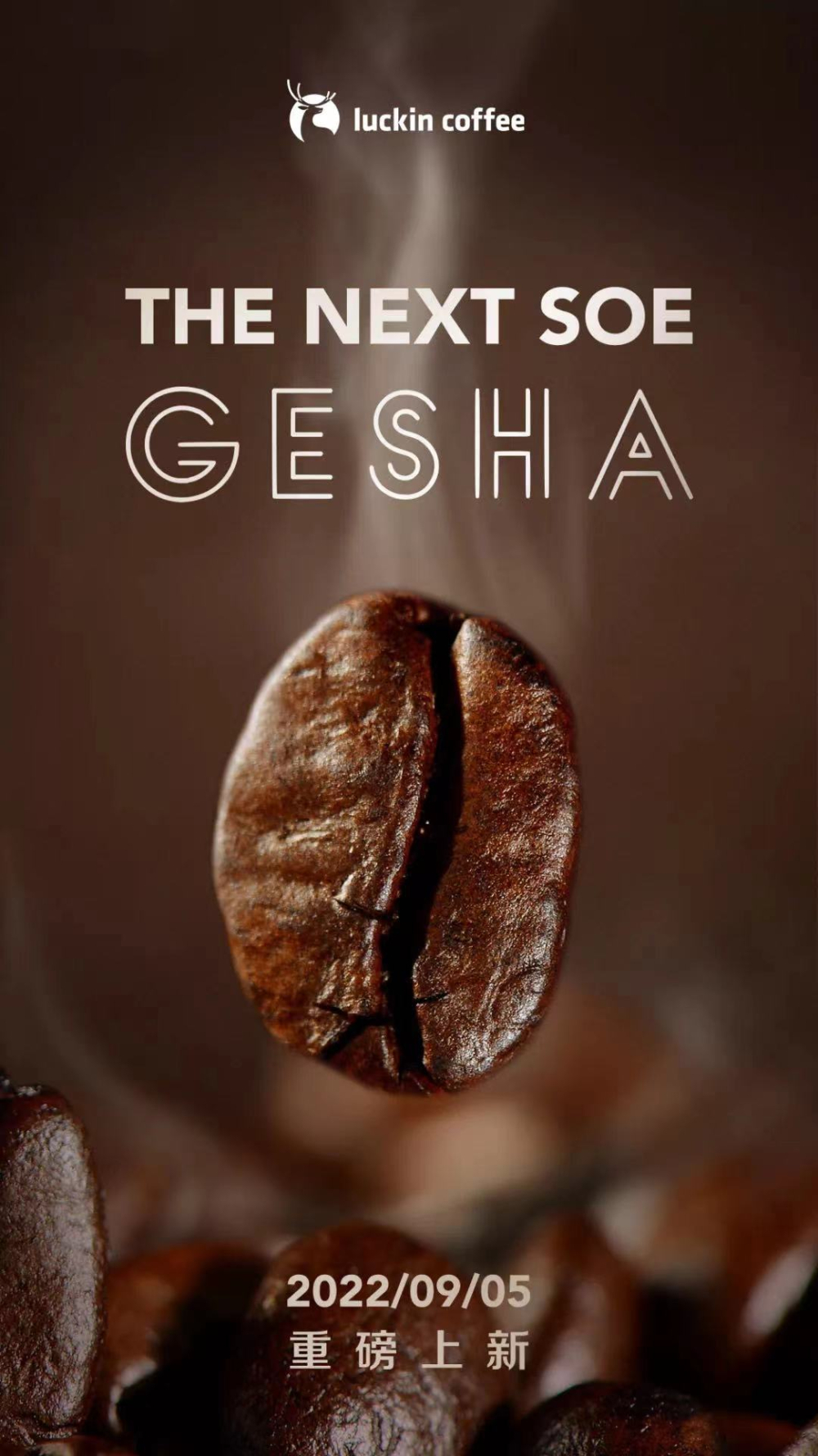 Analysis of the Difference Between Gesha and Geisha | Red Label Grade, Roasting Recommendations, and Flavor Identification Handbook