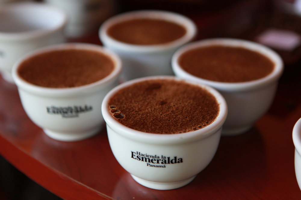 How to Brew Panamanian Geisha Coffee? A Complete Guide to Its Origins, Regional Characteristics & Pour Over Settings