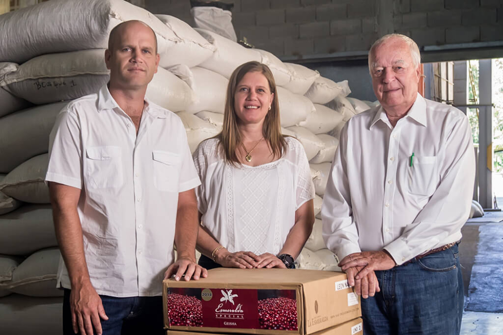 A Complete Guide to Panamanian Geisha Coffee: Differences Between Red, Green, and Blue Labels, Pour Over Brewing Tutorial, and Diamond Mountain Alternative Recommendations