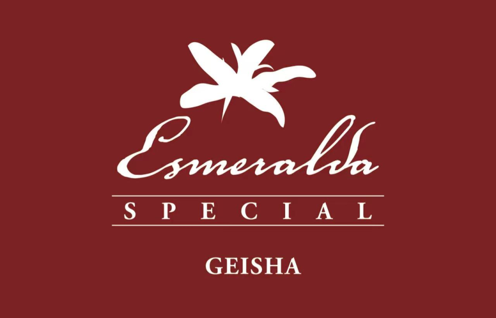 A Complete Guide to Panamanian Geisha Coffee: Differences Between Red, Green, and Blue Labels, Pour Over Brewing Tutorial, and Diamond Mountain Alternative Recommendations